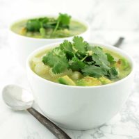 Avocado Soup